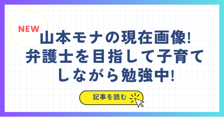 山本モナの現在画像!弁護士を目指して子育てしながら勉強中!